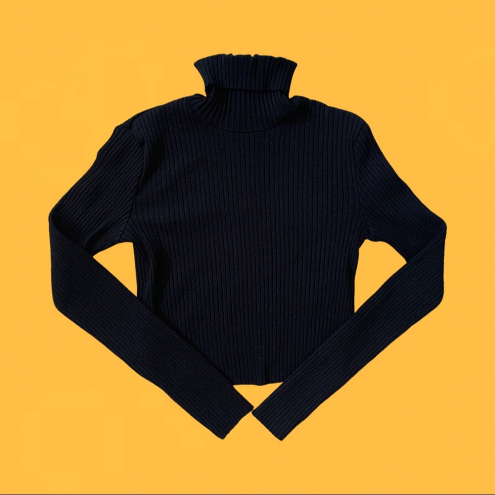 Zara Cropped Black Ribbed Turtleneck